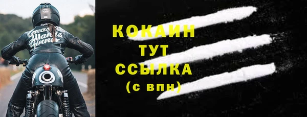 тгк Абаза