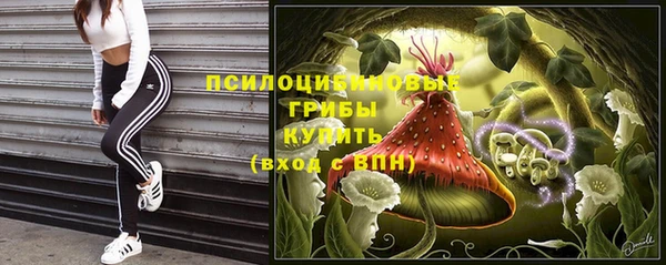 тгк Абаза