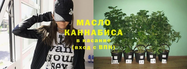 тгк Абаза