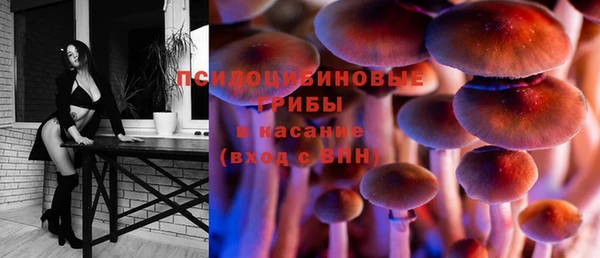тгк Абинск