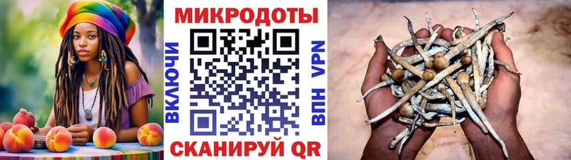Галлюциногенные грибы Cubensis Кинешма