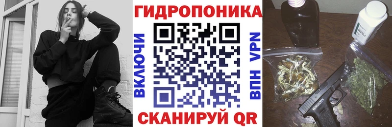 хочу наркоту  Кинешма  МЕГА зеркало  Конопля OG Kush 
